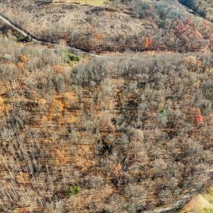 01-dji_fly_20251112_104122_0001_17629931