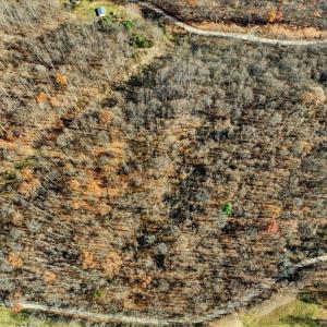 05-dji_fly_20251112_104320_0005_17629931