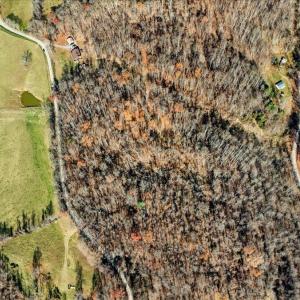 06-dji_fly_20251112_104352_0006_17629931