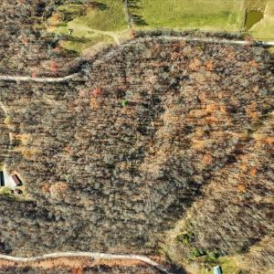 09-dji_fly_20251112_104434_0009_17629931