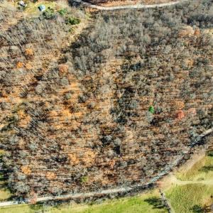 13-dji_fly_20251112_104714_0013_17629931