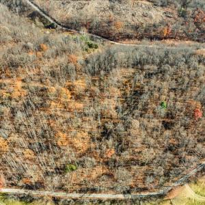 14-dji_fly_20251112_104744_0014_17629931