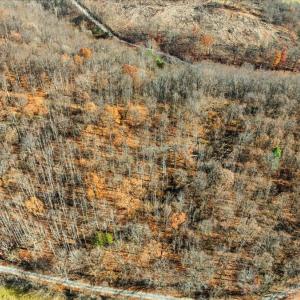 15-dji_fly_20251112_104810_0015_17629931