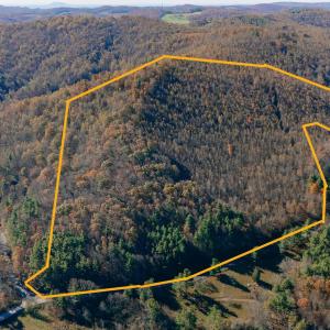 Puin boundary pic