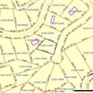Lot 34 Laurel Ln tax map