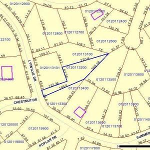 Lot 44 Lynville Dr. tax map outline