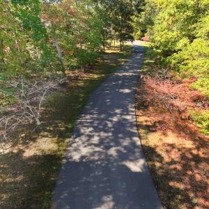 DJI_20251015111437_0057_D