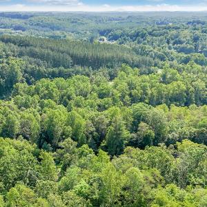 11-DJI_20250603155215_0074_D