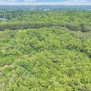 06-DJI_20250603155011_0069_D