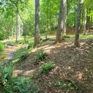 20250106003805495573000000-o