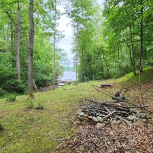 20250106003801649068000000-o