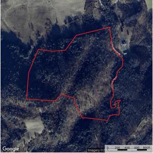 425709-998407c8-a89c-4df2-87e9-98bf05061