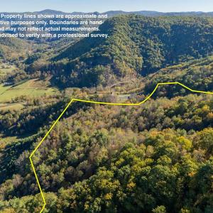 425709-ea268175-17c7-443c-b767-7fd7617b5