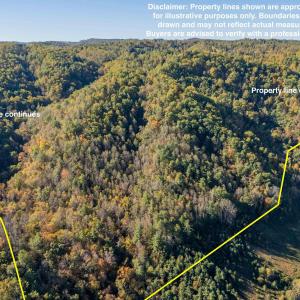 425709-5c29560e-2735-4511-9161-739b1dd95