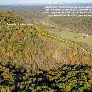 425709-19176a05-f5f3-4559-937d-d13ba8cdf