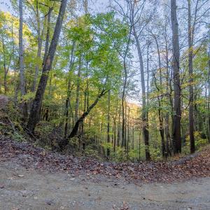 shawsville-1