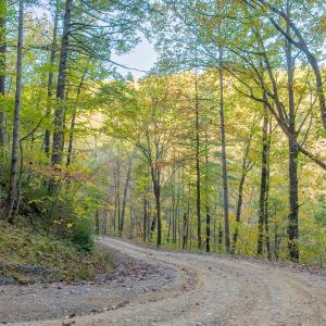 shawsville-3