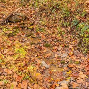 shawsville-11