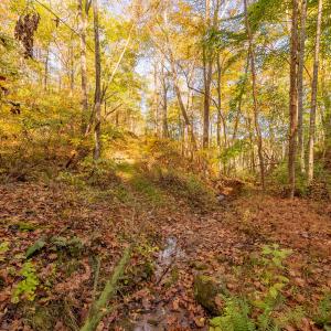 shawsville-12