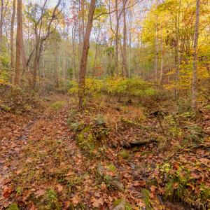 shawsville-13