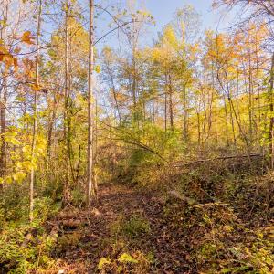shawsville-16