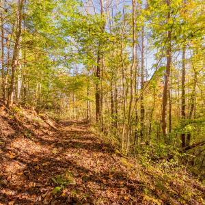 shawsville-18