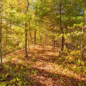 shawsville-29
