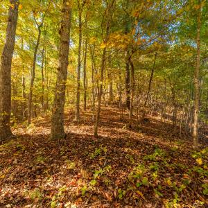 shawsville-31