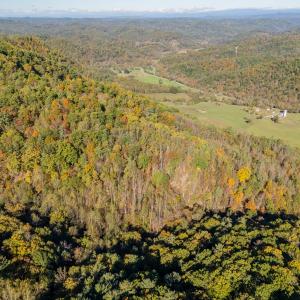 shawsville-53