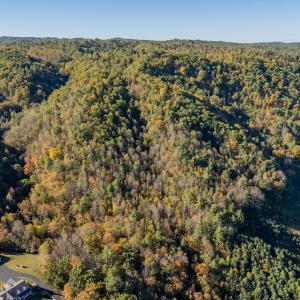 shawsville-59