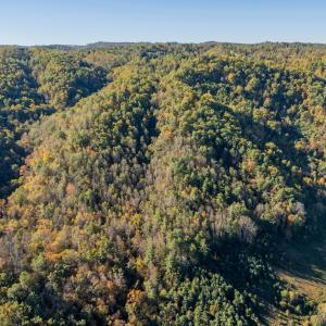 shawsville-60