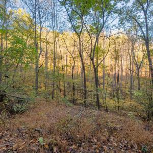 shawsville-4