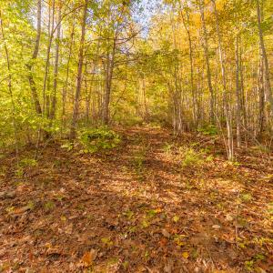 shawsville-20