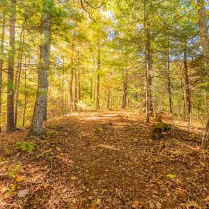 shawsville-25