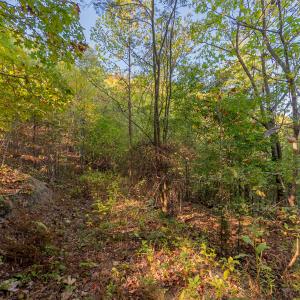 shawsville-33
