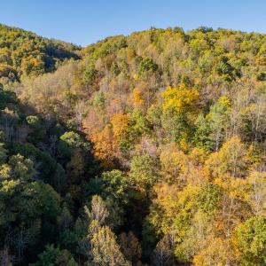 shawsville-35