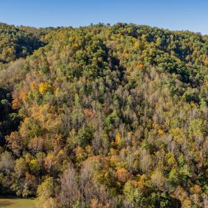 shawsville-36
