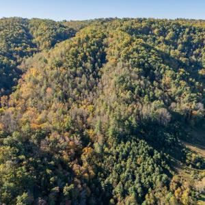shawsville-38