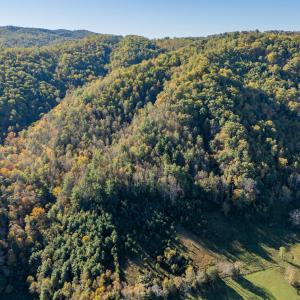 shawsville-40