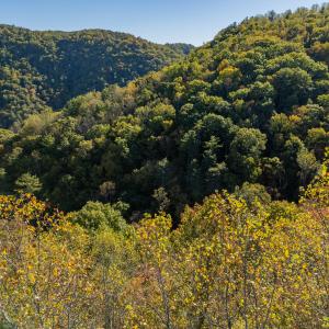 shawsville-50