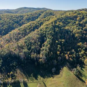 shawsville-63