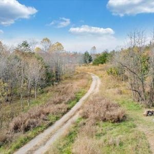 02-DJI_20251108001551_0002_D