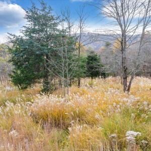 17-DJI_20251108002457_0020_D