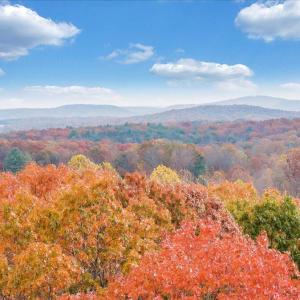 23-DJI_20251108002912_0027_D