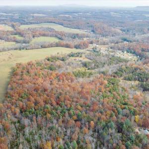 10-DJI_20251108002101_0011_D