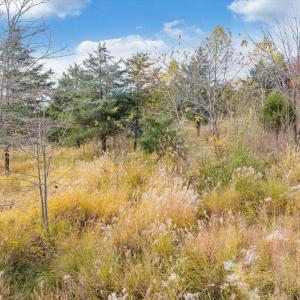 16-DJI_20251108002436_0019_D