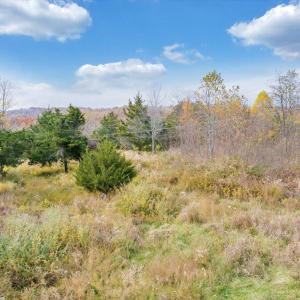 18-DJI_20251108002529_0021_D