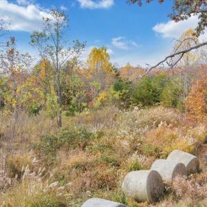 19-DJI_20251108002605_0022_D