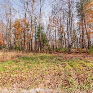 copper hill-2