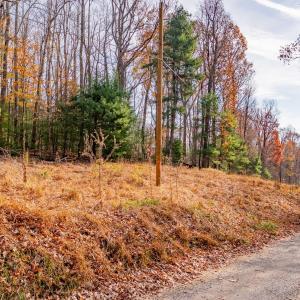 copper hill-3